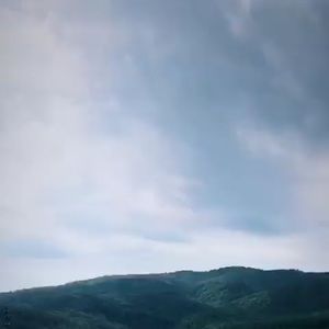 Meet your Posher, Shelby